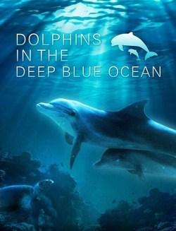 Дельфины в океанской синеве (2009)
