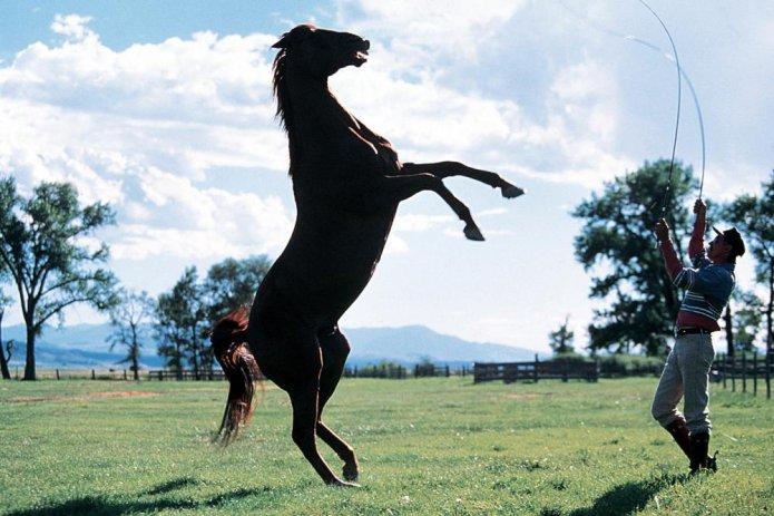 Заклинатель лошадей (1998)