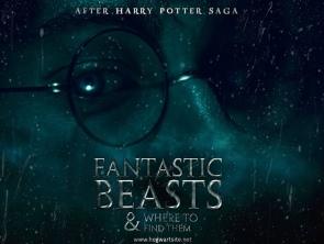Fantastic Beasts And Where To Find Them Hd
